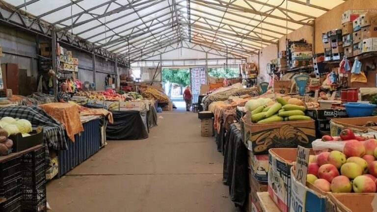 У Запорізькій області посилили роз’яснювальну роботу щодо профілактики харчових отруєнь та інфекцій