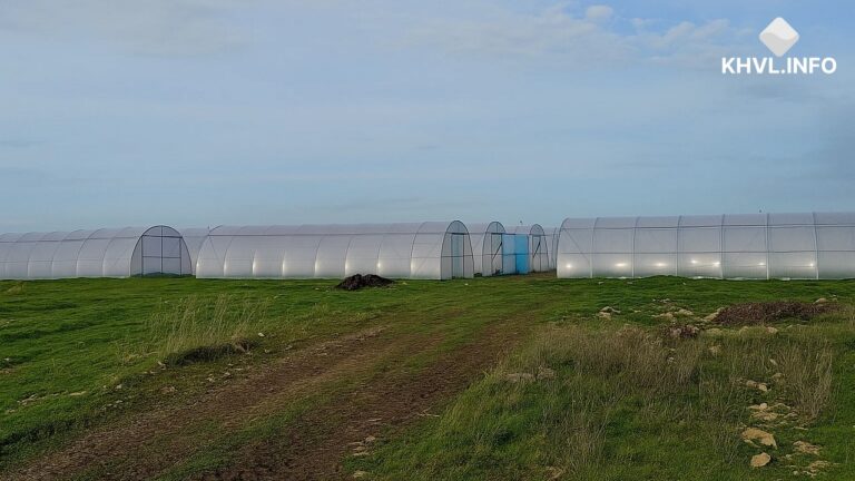 У Тягинській громаді встановили теплиці для підтримки переселенців