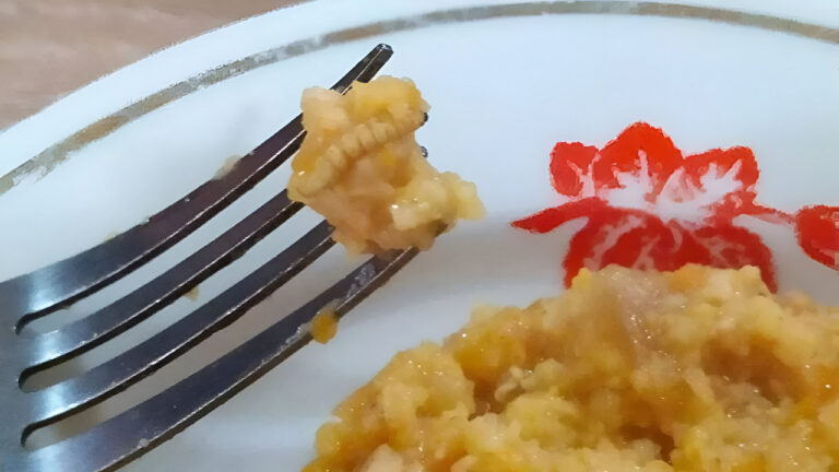 У Миколаєві тимчасово залучили приватного підрядника для організації шкільного харчування