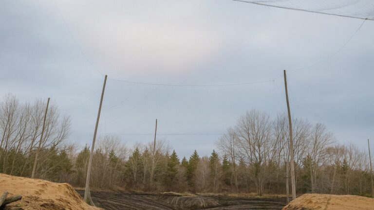 Херсонська ОВА ймовірно переплатила за антидронові сітки мільйони гривень