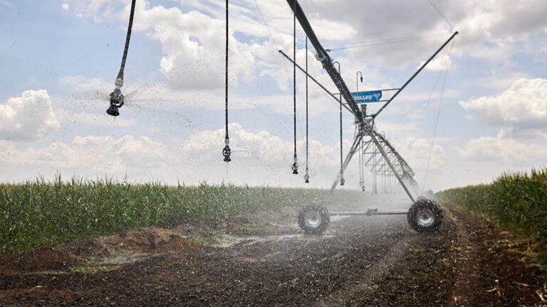 Миколаївський аграрій відновив зрошення на понад 300 га