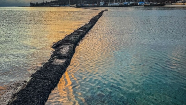 Відступ води в Чорному морі: експерти пояснили причини