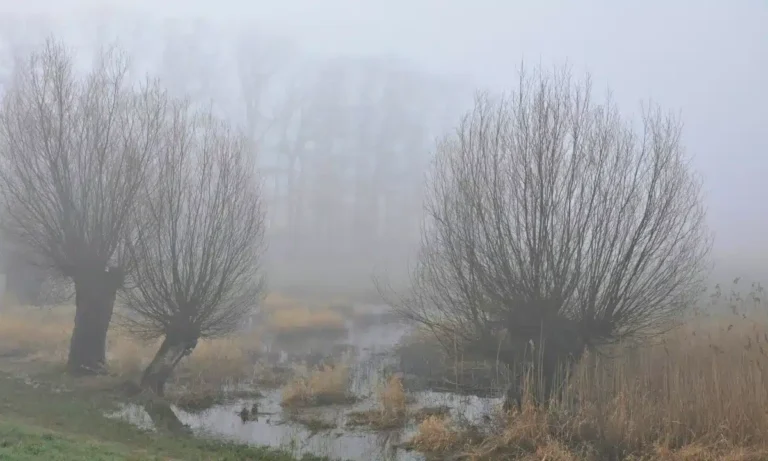 На Херсонщині російські військові чекають туману чи дощу, аби штурмувати позиції ЗСУ