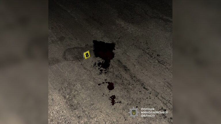 На Миколаївщині водій збив жінку та втік з місця аварії