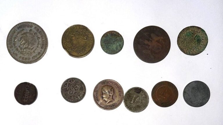 На Одещині прикордонники вилучили старовинні монети під час спроби вивезення за кордон
