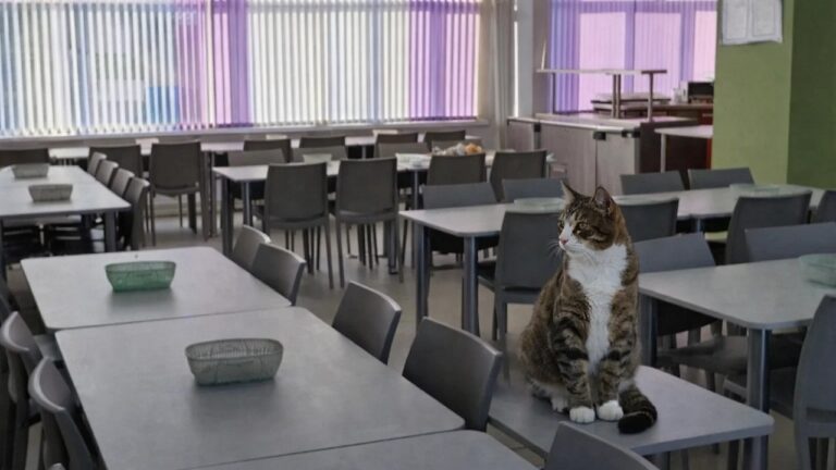 У Білгород-Дністровській громаді модернізують заклади загальної середньої освіти