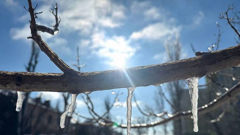 Миколаїв накрила ожеледь у перший день лютого