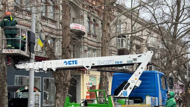 У Миколаєві не планують висаджувати нові дерева на Соборній