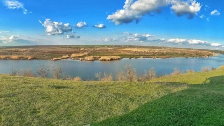 На Херсонщині створять новий ботанічний заказник площею майже 295 га