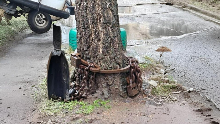 У Миколаєві з дерева демонтували металеву конструкцію із замками