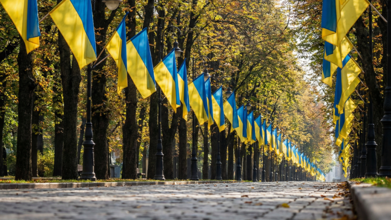 Депутати Вознесенська оскаржують забудову ділянки в центрі міста