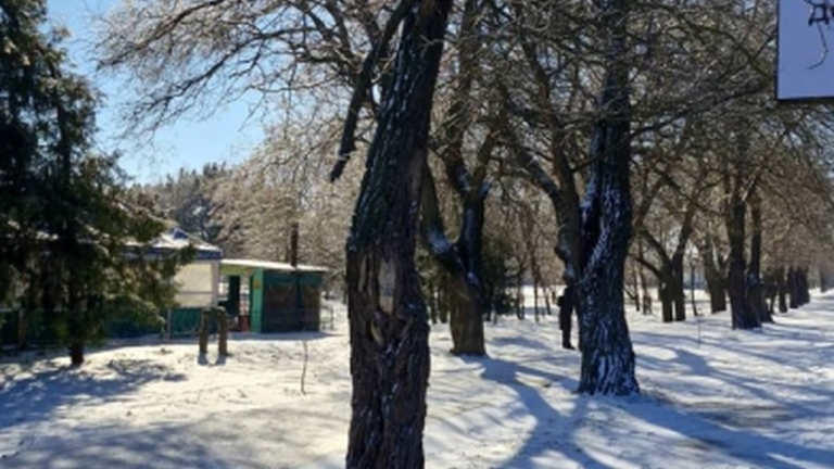 Прогноз погоди на п’ятницю: сніг та ожеледиця на Миколаївщині