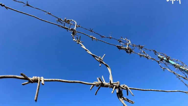 Фермера з Білозерки викрали російські окупанти: три роки безвісти