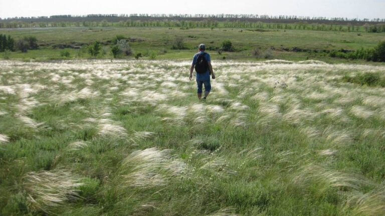 У Запоріжжі помер краєзнавець та волонтер Ігор Павелко