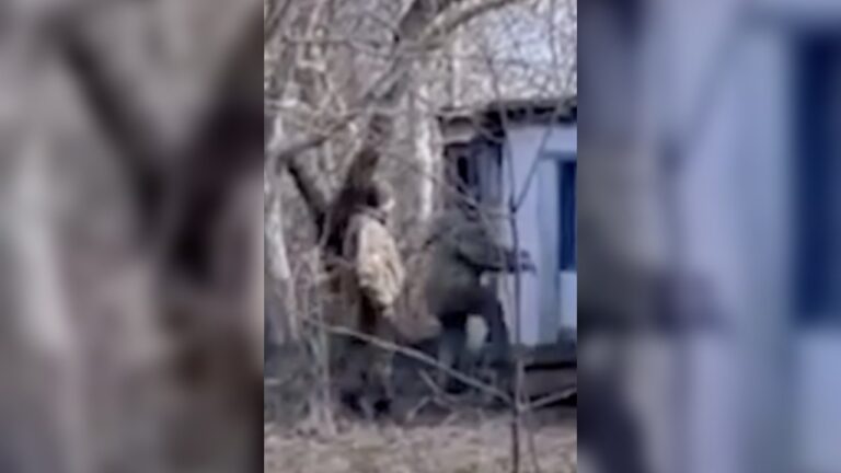 У мережі з’явилося відео, де нібито представники ТЦК крадуть гусака на Одещині