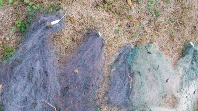 На Миколаївщині під час рибоохоронних рейдів вилучили сотні метрів сіток