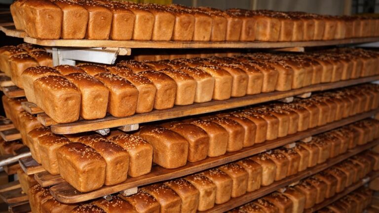 Путін передав окупаційній владі Херсонщини акції Каланчацького комбінату хлібопродуктів