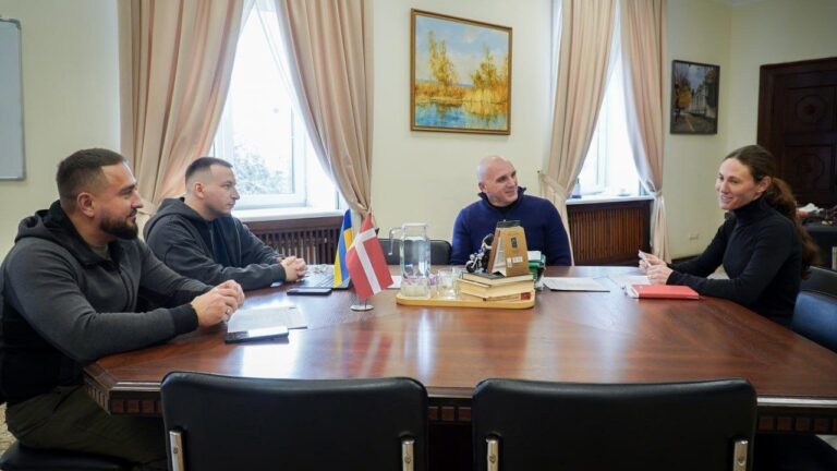 Миколаїв обговорив з Данською радою у справах біженців нові проєкти співпраці