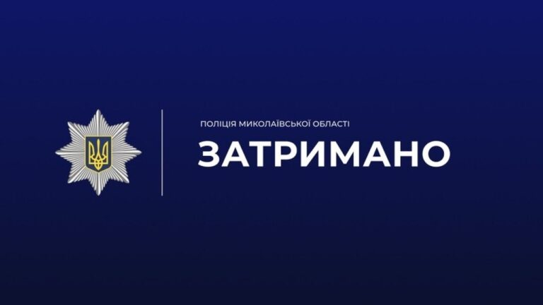У Миколаєві чоловіка затримали за жорстоке побиття співмешканки