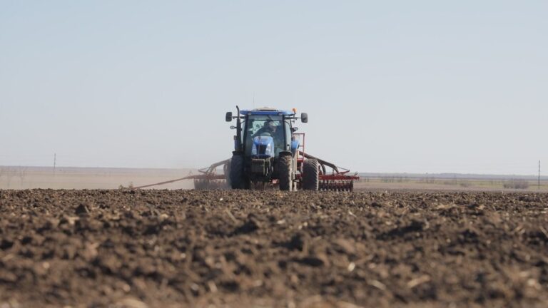 Окупаційна влада планує витратити мільярд рублів на агросектор Херсонщини
