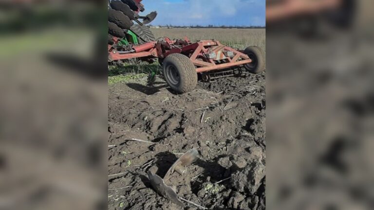 Агрометеоумови березня сприяли розвитку озимих культур на Миколаївщині