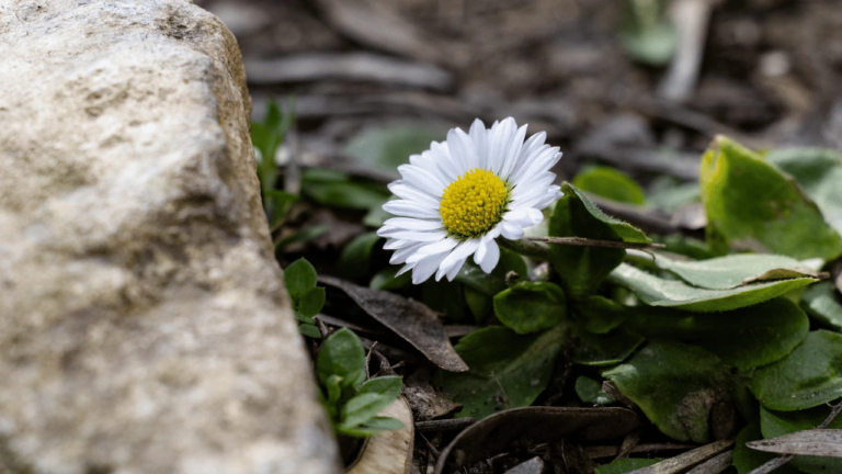 Прогноз погоди на 22 березня 2026 року в Херсоні та області