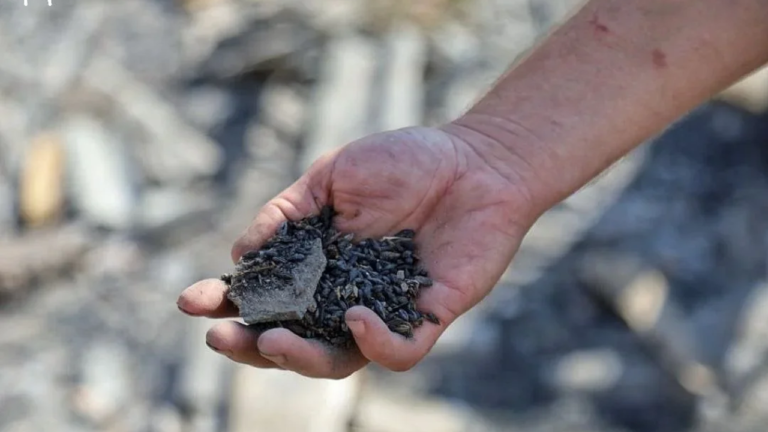 Окупаційна влада Херсонщини запровадила нові правила експорту зерна