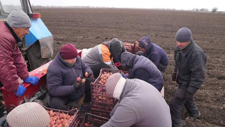 Зменшення кількості фермерських господарств на Херсонщині через війну