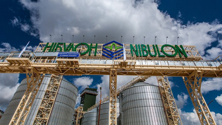 “Нібулон” попередив про можливий переїзд через позицію депутатів Миколаєва