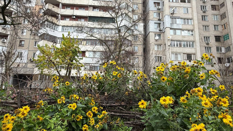 Херсонці висловили оптимізм щодо перемоги та вступу до ЄС у 2026 році