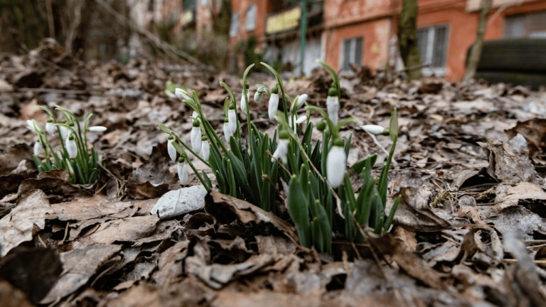 Прогноз погоди для Херсонщини на 2 березня 2026 року