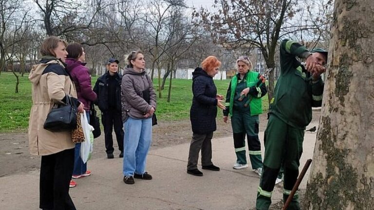 У Миколаєві торговці пошкодили дерева на стихійному ринку