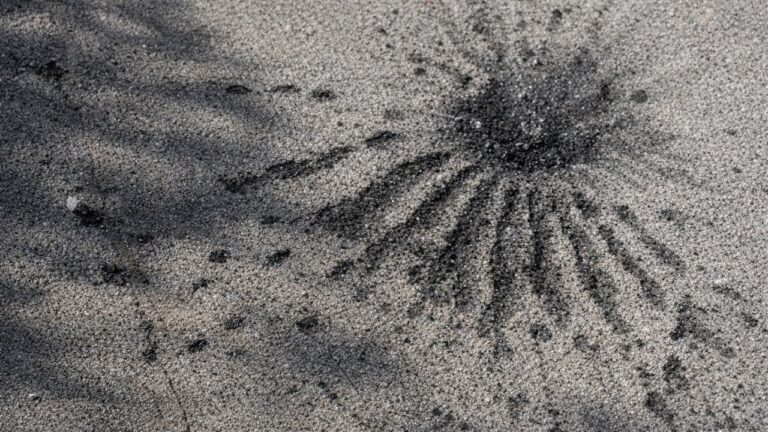 У Миколаєві на цвинтарі вибухнув касетний боєприпас