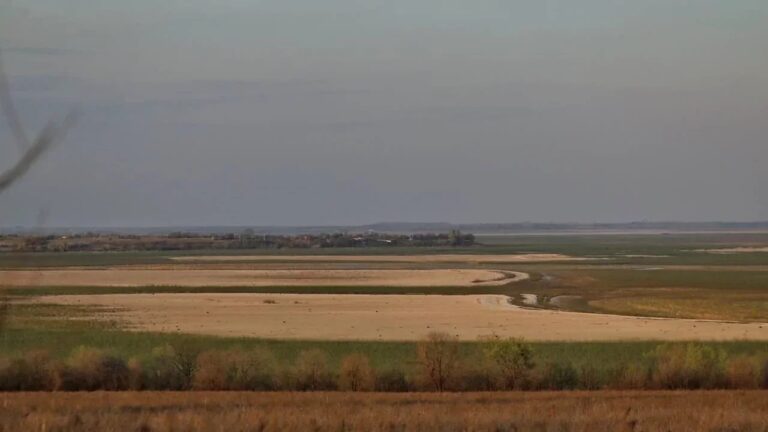 Херсонські компанії отримали звільнення від земельного податку