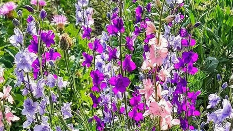 На Херсонщині очікується різке похолодання з заморозками