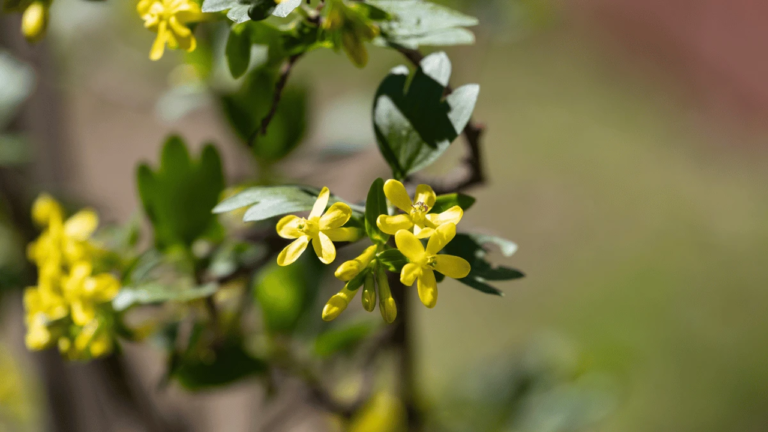 Заморозки та дощі: прогноз погоди для Херсонщини на 8 квітня 2026 року