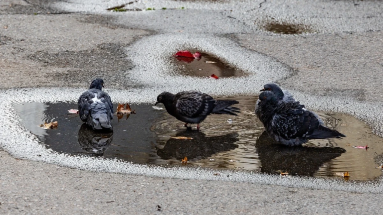 Прогноз погоди для Херсонщини на 10 квітня 2026 року