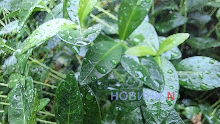 Погода у Миколаєві: мінлива хмарність та дощ у понеділок