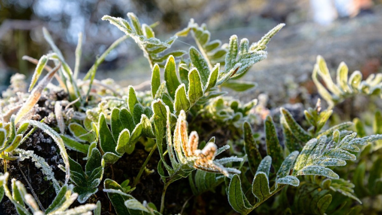 Прогноз погоди на вівторок у Миколаївській області