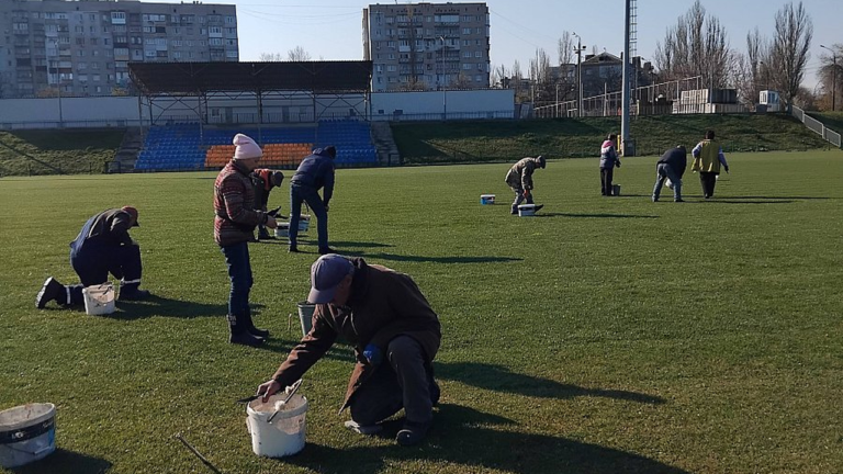 У Миколаєві на Центральному стадіоні вручну видаляють кульбабки