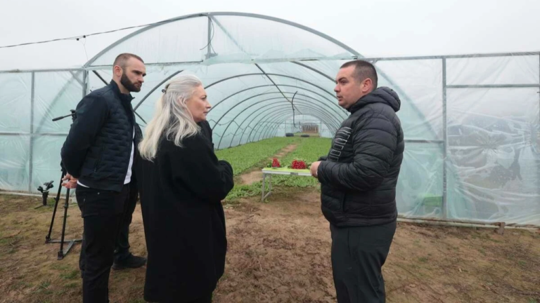 Підприємець з Херсонщини заснував тепличне господарство на Вінниччині