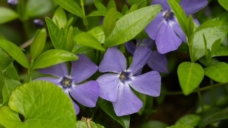 Прогноз погоди для Херсонщини на 5 квітня 2026 року