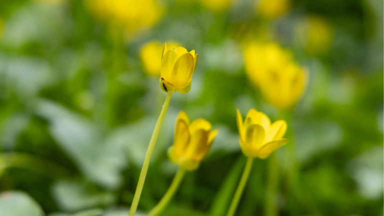 Прогноз погоди на 6 квітня 2026 року в Херсоні та області