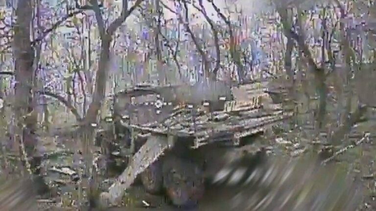 Під Запоріжжям дрони-камікадзе спалили ворожу вантажівку з боєприпасами