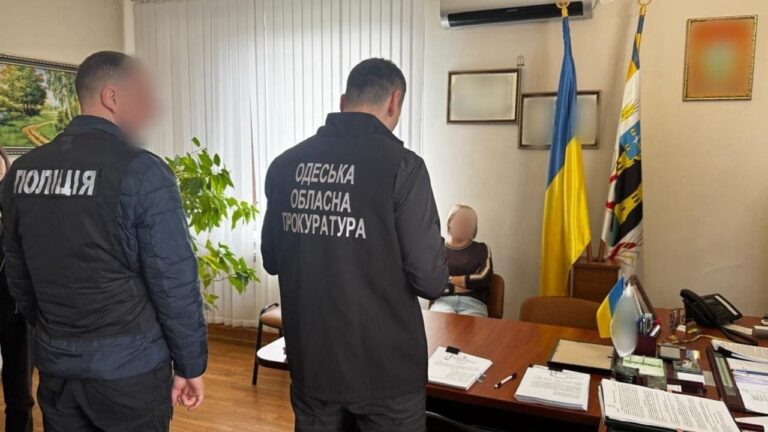 Земельна схема: на Одещині сільський голова переписав ділянки на тещу та дитину