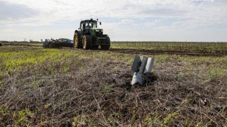 Фермери Миколаївщини можуть отримати ваучери на відновлення господарств
