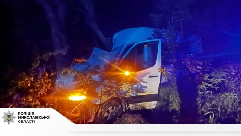 На Миколаївщині вночі мікроавтобус з’їхав з дороги і врізався в дерево