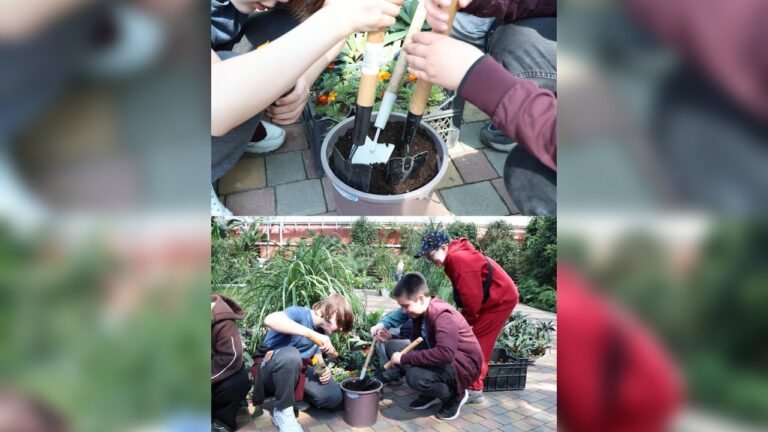 “Сади перемоги”: у Запоріжжі озеленюють шкільні подвір’я