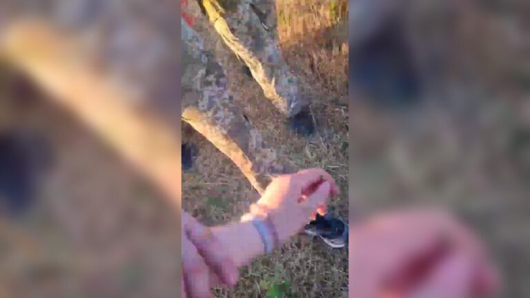Військовослужбовці 225-го ОШП ЗСУ переслідували неповнолітню дівчинку