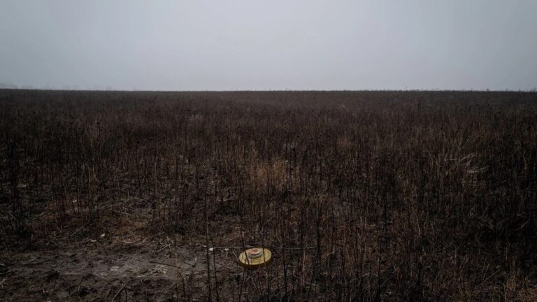 В Олешках двоє людей підірвалися на міні під час поїздки на велосипедах